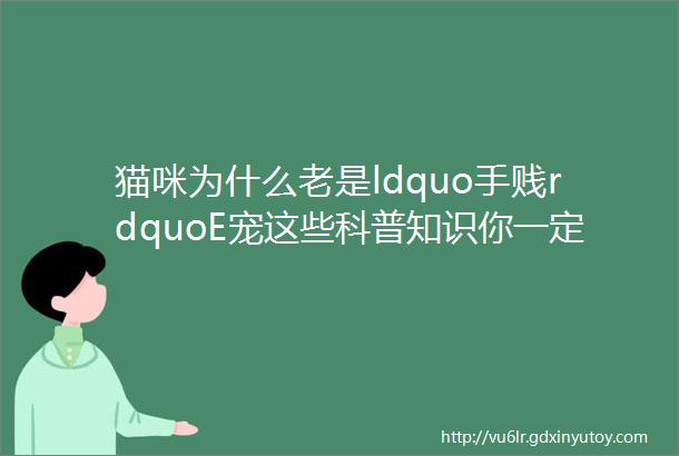 猫咪为什么老是ldquo手贱rdquoE宠这些科普知识你一定要了解