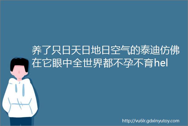 养了只日天日地日空气的泰迪仿佛在它眼中全世界都不孕不育helliphellip